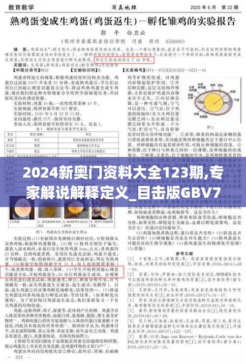 2024新奥门资料大全123期,专家解说解释定义_目击版GBV7.76