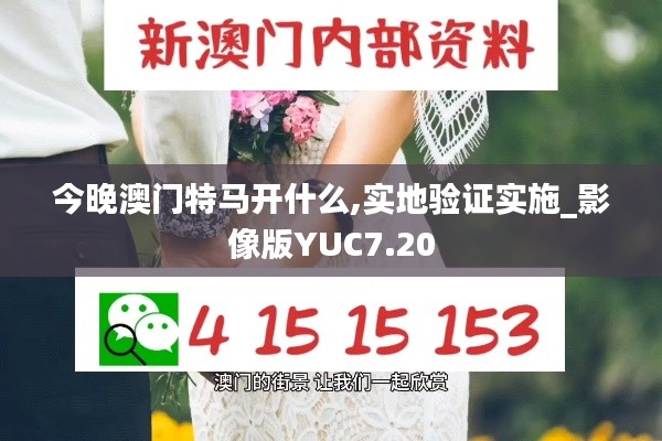 今晚澳门特马开什么,实地验证实施_影像版YUC7.20