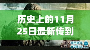 独家揭秘，历史上的今天与科技重塑未来——最新高科技产品视频曝光日