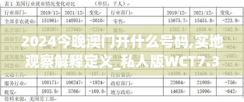 2024今晚澳门开什么号码,实地观察解释定义_私人版WCT7.39