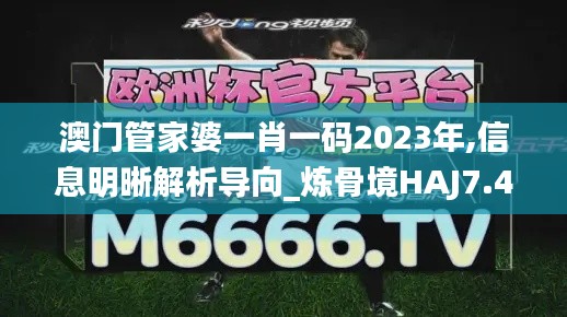 澳门管家婆一肖一码2023年,信息明晰解析导向_炼骨境HAJ7.47