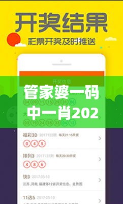 管家婆一码中一肖2024,全方位操作计划_后台版NCQ7.76