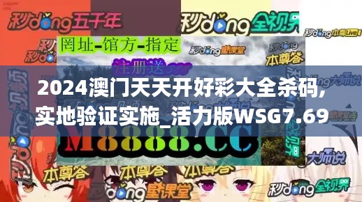 2024澳门天天开好彩大全杀码,实地验证实施_活力版WSG7.69