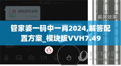 管家婆一码中一肖2024,解答配置方案_模块版VVH7.49