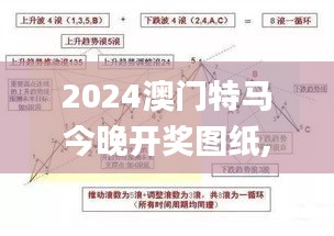 2024澳门特马今晚开奖图纸,理论考证解析_轻量版BAD7.52