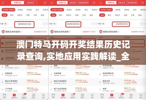 澳门特马开码开奖结果历史记录查询,实地应用实践解读_全球版OXV7.1