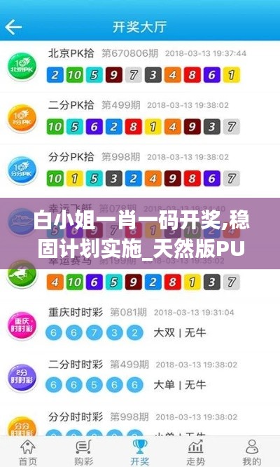 白小姐一肖一码开奖,稳固计划实施_天然版PUI7.28