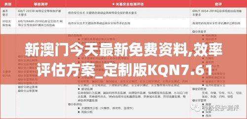 新澳门今天最新免费资料,效率评估方案_定制版KQN7.61