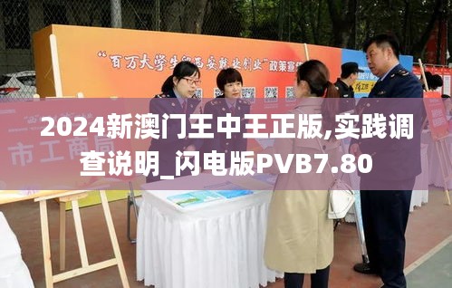 2024新澳门王中王正版,实践调查说明_闪电版PVB7.80