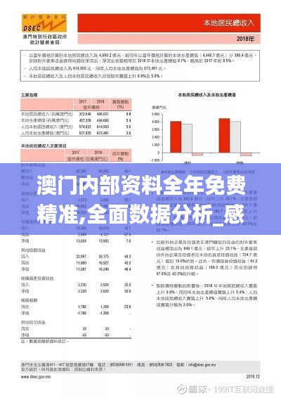 澳门内部资料全年免费精准,全面数据分析_感知版QBW7.72