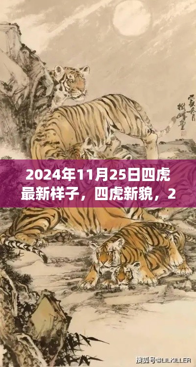 2024年视角下的四虎新貌，11月25日的视角与观点