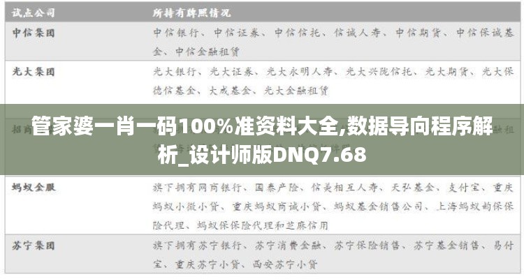 管家婆一肖一码100%准资料大全,数据导向程序解析_设计师版DNQ7.68