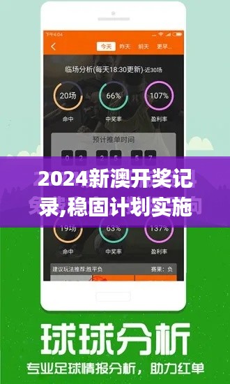 2024新澳开奖记录,稳固计划实施_定义版VFN7.56