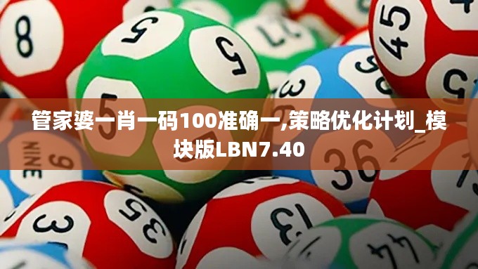 管家婆一肖一码100准确一,策略优化计划_模块版LBN7.40