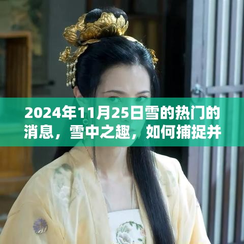 2024年11月25日雪上热门瞬间，捕捉雪中之趣的记录