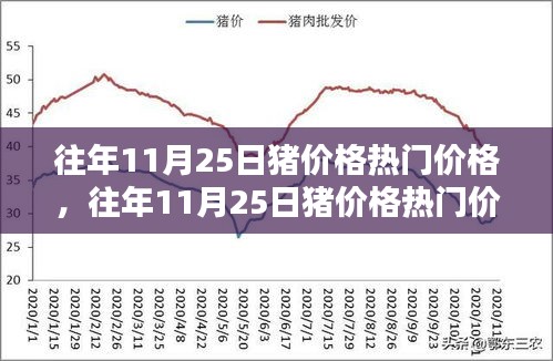 往年11月25日猪价格解析与查询指南，热门价格回顾与解析