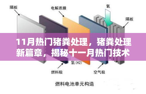 揭秘，11月热门猪粪处理技术的背后真相，开启猪粪处理新篇章