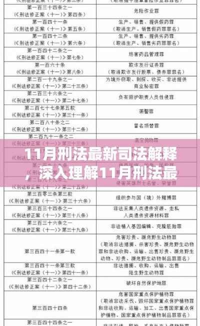 深入理解11月刑法最新司法解释，三大要点详解与解读