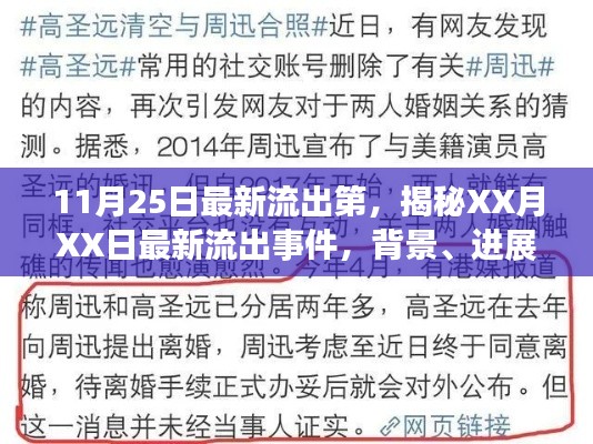 揭秘XX月XX日最新流出事件，背景、进展与深远影响的全面解析