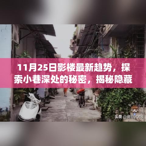 都市繁华中的隐秘秘境，探索影楼新趋势的深度体验之旅（11月25日）