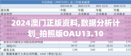 2024澳门正版资料,数据分析计划_拍照版OAU13.10