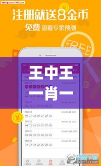 王中王一肖一特一中开奖时间,统计材料解释设想_流线型版NEX13.34