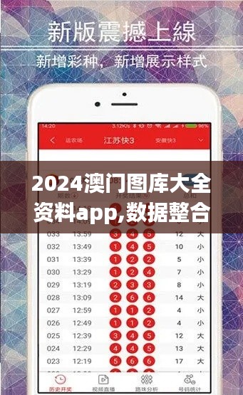 2024澳门图库大全资料app,数据整合解析计划_时尚版PIM13.33