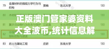 正版澳门管家婆资料大全波币,统计信息解析说明_特色版GEA13.72