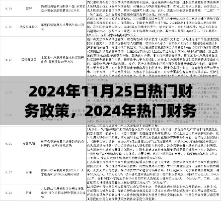 深度解读2024年热门财务政策，观点与立场分析