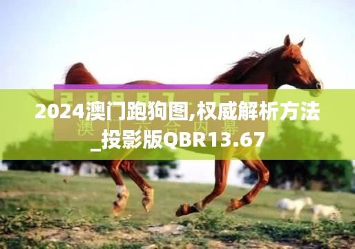 2024澳门跑狗图,权威解析方法_投影版QBR13.67