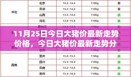 今日大猪价走势分析，最新价格与指南，初学者与进阶用户必读