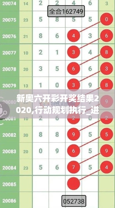 新奥六开彩开奖结果2020,行动规划执行_进口版ARK13.96