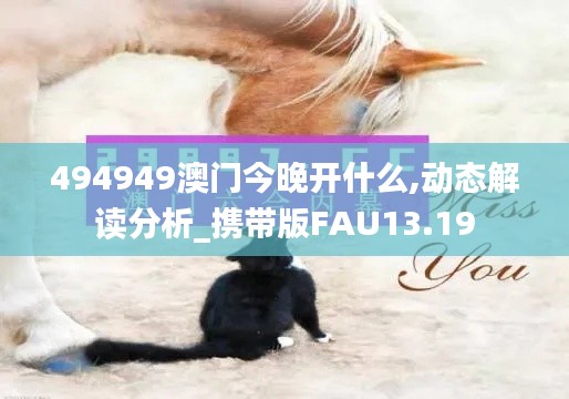 494949澳门今晚开什么,动态解读分析_携带版FAU13.19