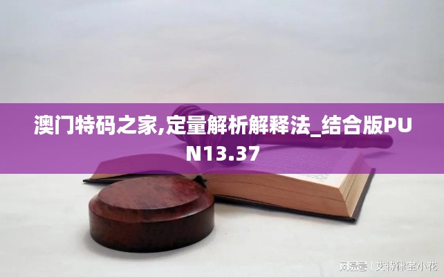 澳门特码之家,定量解析解释法_结合版PUN13.37