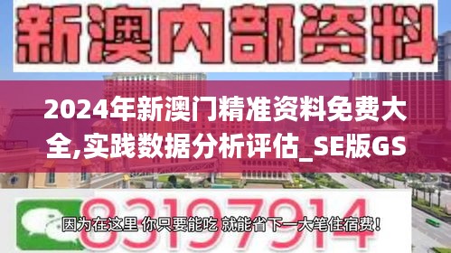 2024年新澳门精准资料免费大全,实践数据分析评估_SE版GSO13.96