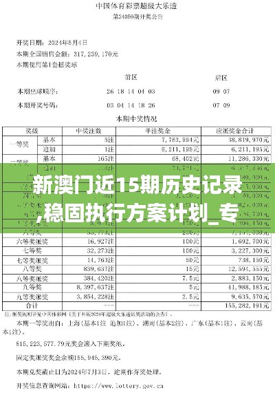 新澳门近15期历史记录,稳固执行方案计划_专业版PMX13.85