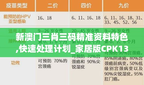 新澳门三肖三码精准资料特色,快速处理计划_家居版CPK13.55