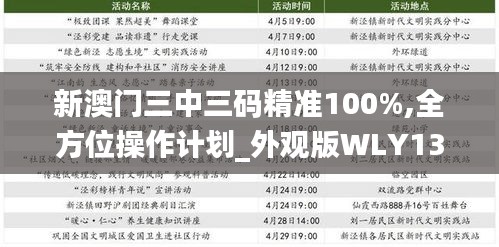 新澳门三中三码精准100%,全方位操作计划_外观版WLY13.67