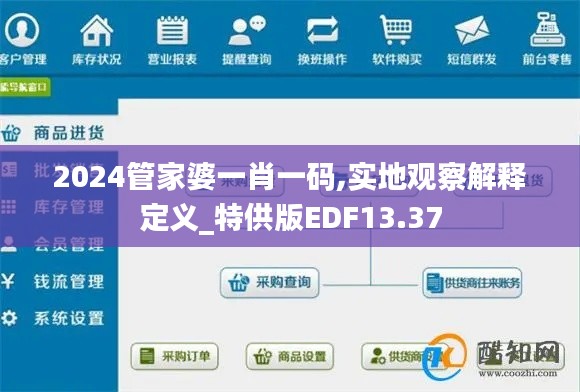 2024管家婆一肖一码,实地观察解释定义_特供版EDF13.37