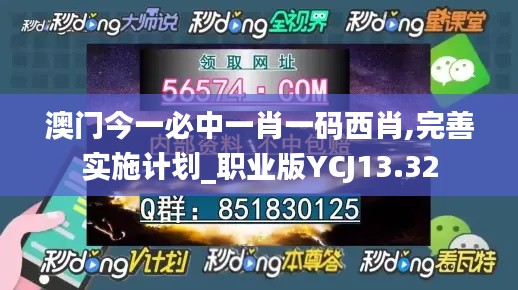 澳门今一必中一肖一码西肖,完善实施计划_职业版YCJ13.32