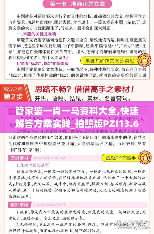 管家婆一肖一马资料大全,快速解答方案实践_拍照版PZI13.65