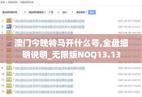 澳门今晚特马开什么号,全盘细明说明_无限版NOQ13.13