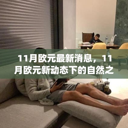 探寻自然之旅，欧元新动态下的心灵宁静与自然魔力之旅（11月最新消息）