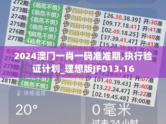 2024澳门一肖一码准准期,执行验证计划_理想版JFD13.16