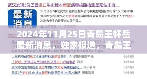 独家报道，青岛王怀岳最新消息深度解析（2024年11月25日）