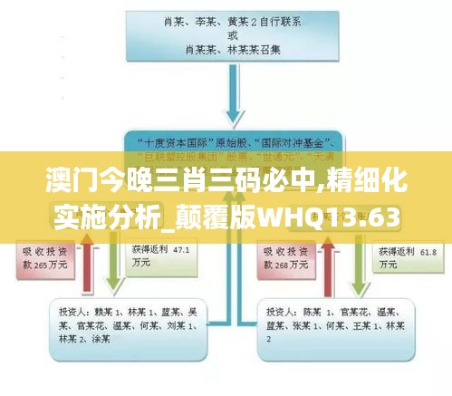 澳门今晚三肖三码必中,精细化实施分析_颠覆版WHQ13.63