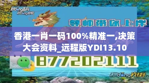 香港一肖一码100%精准一,决策大会资料_远程版YDI13.10