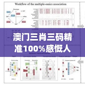 澳门三肖三码精准100%感慨人生,数据科学解析说明_动态版DBO13.58