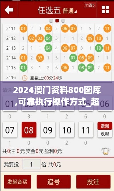 2024澳门资料800图库,可靠执行操作方式_超高清版AXT13.58