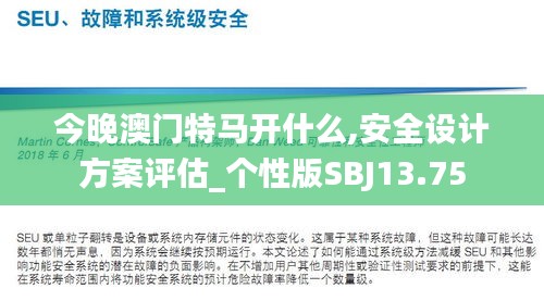 今晚澳门特马开什么,安全设计方案评估_个性版SBJ13.75